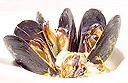 Spiced Mussel and Pineapple Stew
