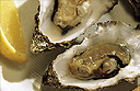 Hillsborough International Oyster Festival