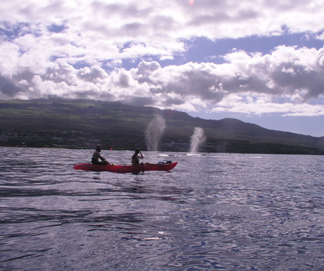 Makena kayaking