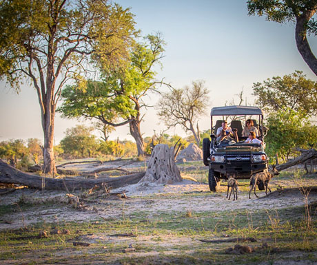 Duma Tau game drive