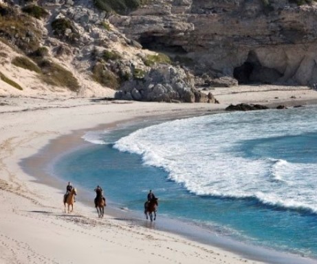 slider_south_africa_grootbos_riding