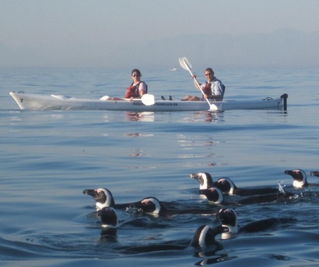 Cape Town kayaking