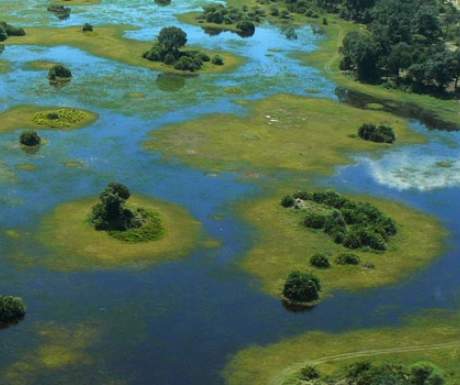 Aerial view of the Okavango Delta