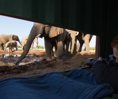 Mashatu water level hide - elephants