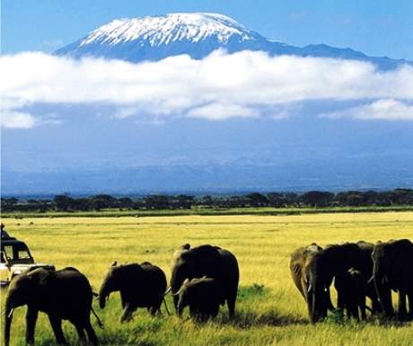 Wildlife drive from Tortilis Camp with Kilimanjaro