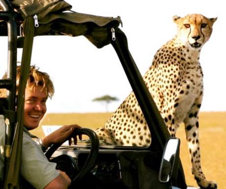 Richards Camp Masai Mara cheetah on game viewing vehicle