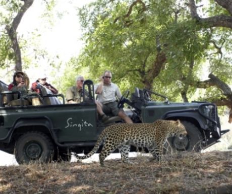 Game drive from Singita Castleton