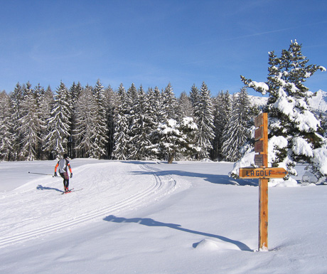 Cross Country Skiing in the Southern Alps