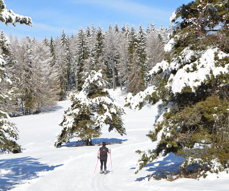 Classic Cross Country Skiing in the Southern Alps