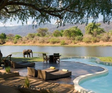 Elephants by the pool at Chongwe River House Lower Zambezi