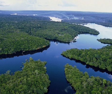 Amazon Rainforest, Brazil