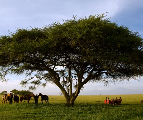 Meals on a riding safari - Ol Donyo