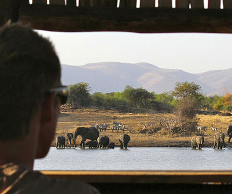 Manyara Ranch hide