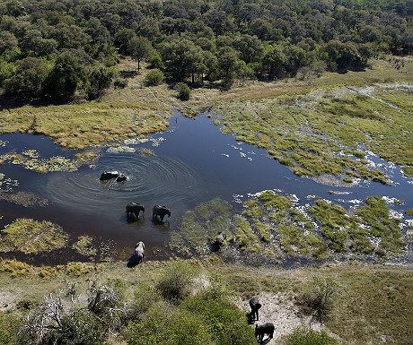 Fly-in safaris over Botswana