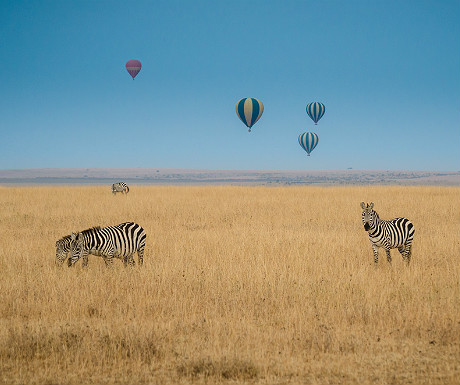Hot air balloon rides over the Serengeti