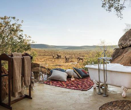 Madikwe Hills elephants