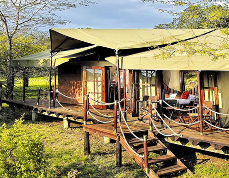 Serengeti Migration Camp