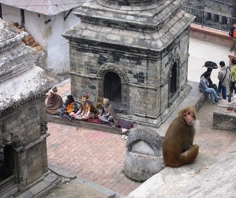 Pashupatinath Temple, Kathmandu