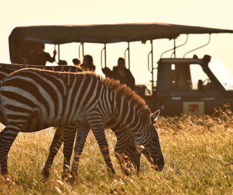 Luxury safari in Kenya