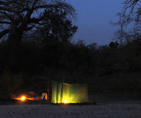 Selous fy camping