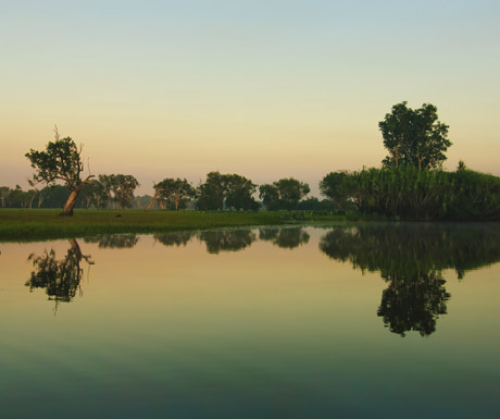 Cruise the Yellow Water Billabong