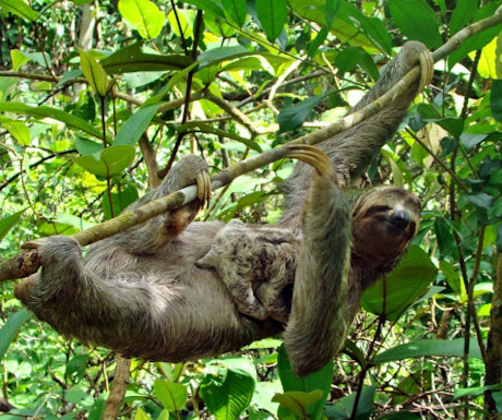 Manuel Antonio National Park