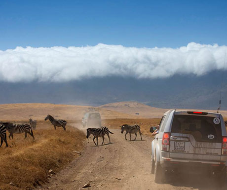 Land Rover safari