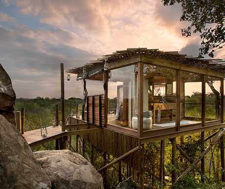 Lion Sands Treehouses