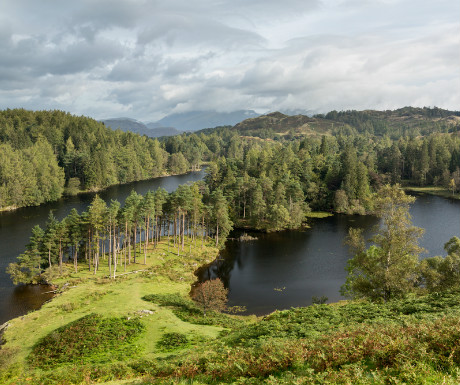 Lakeland Trails Marathon