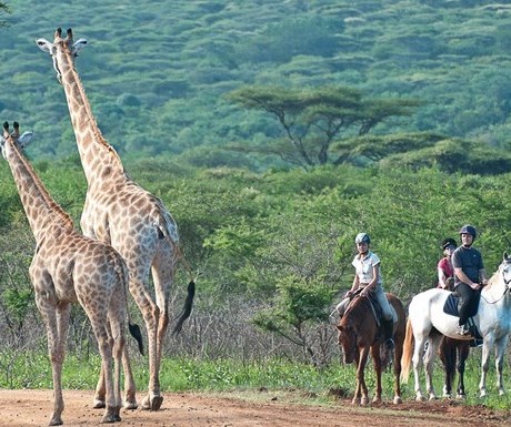 Pakamisa Private Game Reserve