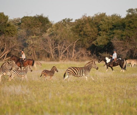 African Explorer Safari - Horizon Horseback (3)