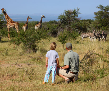 The Waterberg