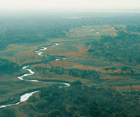 Katavi National Park