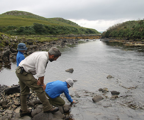 Collecting water