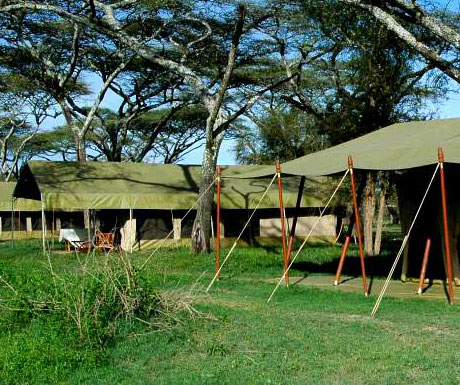 Serengeti Savannah Camp
