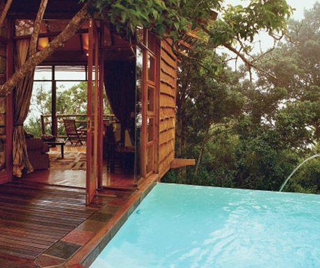 Tsala Treetop Lodge, SA