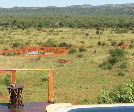 Madikwe scenery