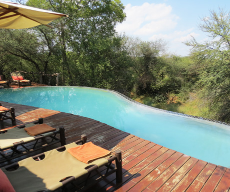 Madikwe lodge