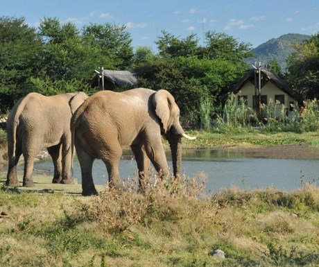 Tau Game Lodge waterhole