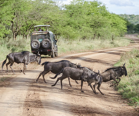 Northern Tanzania road