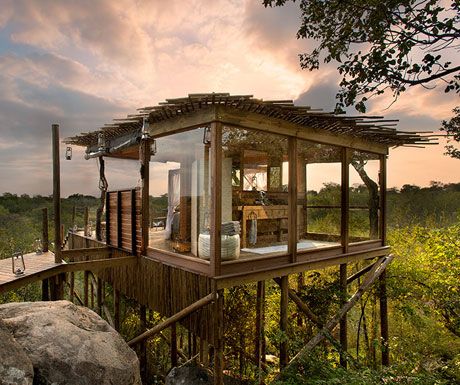 Lion Sands Treehouses