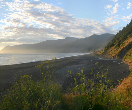 Lost Coast