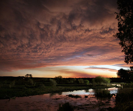 Madikwe