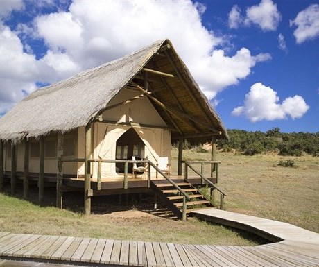 Gorah Elephant Camp - tented suite exterior