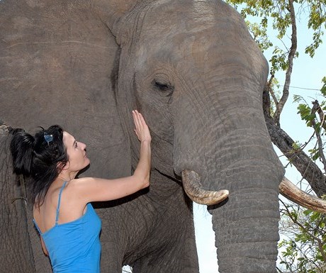 Manyatta Rock Camp - elephant interaction