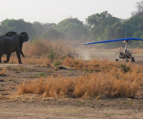 Microlighting in Africa