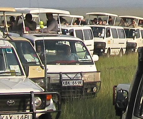 Masai Mara traffic