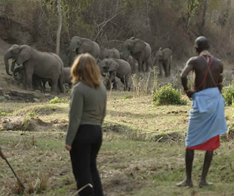 Kitich Walking Safaris