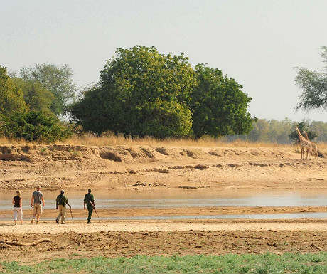 Norman Carr Walking Safari