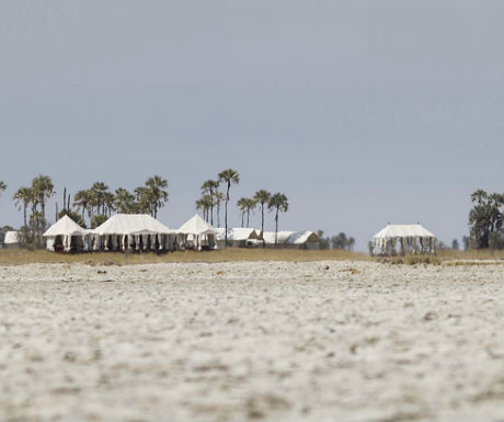 Safari camp in Botswana